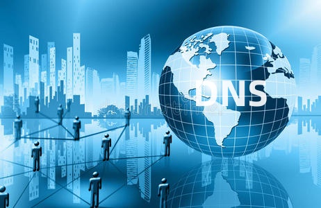 dns信息查询